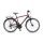 Winora Domingo 21 Trekkingrad 2026 | Chestnut matte