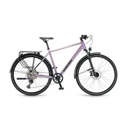 Winora Domingo 12 Pro Trekkingrad 2026 | Chameleon