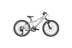 Scott Scale 20 silver Kinder MTB 2024 | Raw Alloy