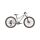 Scott Scale 24 disc silver Kinder MTB 2025 | Raw Alloy