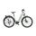 KTM Macina Aera 571 LFC dew silver (grey+blue) 2024 |