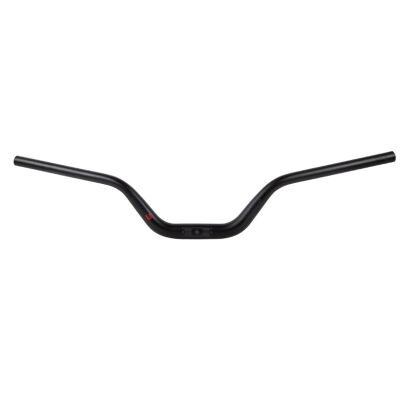 Ergotec Riser Bar 100/ 31,8