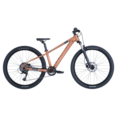 Scott Roxter 600 Kinder MTB 2026 | alloy brown