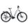 Giant AnyTour X E+ 3 Tiefeinsteiger Trekking E-Bike 2025 | snow drift