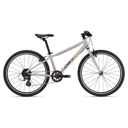 Giant ARX 24 Kinder MTB 2025 | mushroom