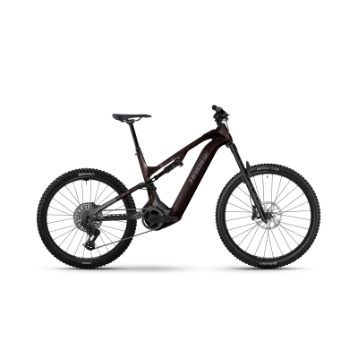 Haibike ALLMTN CF 9 800Wh E-Fully 2026 | black/platinum glänzend