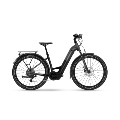 Haibike TREKKING 6.5 600Wh Tiefeinsteiger Trekking E-Bike 2026 | stardust/titan glänzend