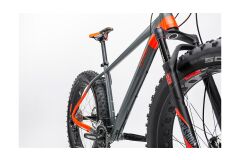 Cube Nutrail 29 - MTB Hardtail 2017 | grey´n´flashred