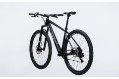 Cube Reaction GTC ONE 29 - MTB Hardtail 2017 | carbon´n´white