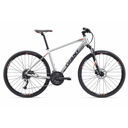 Giant Roam 2 Disc Silver 2017