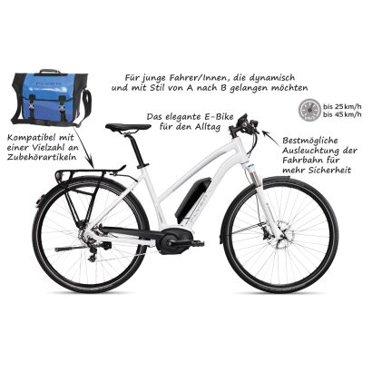 Flyer TS 7.30 Damen E-Bike 2017 | Perlweiss