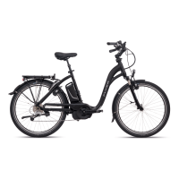 Flyer C 5.1 Tiefeinsteiger E-Bike 2017 | Perlschwarz