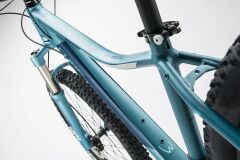 Cube Access WLS Race 29 - Damen MTB Hardtail 2017 | lindgreen´n´blue