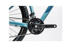 Cube Access WLS Race 29 - Damen MTB Hardtail 2017 | lindgreen´n´blue