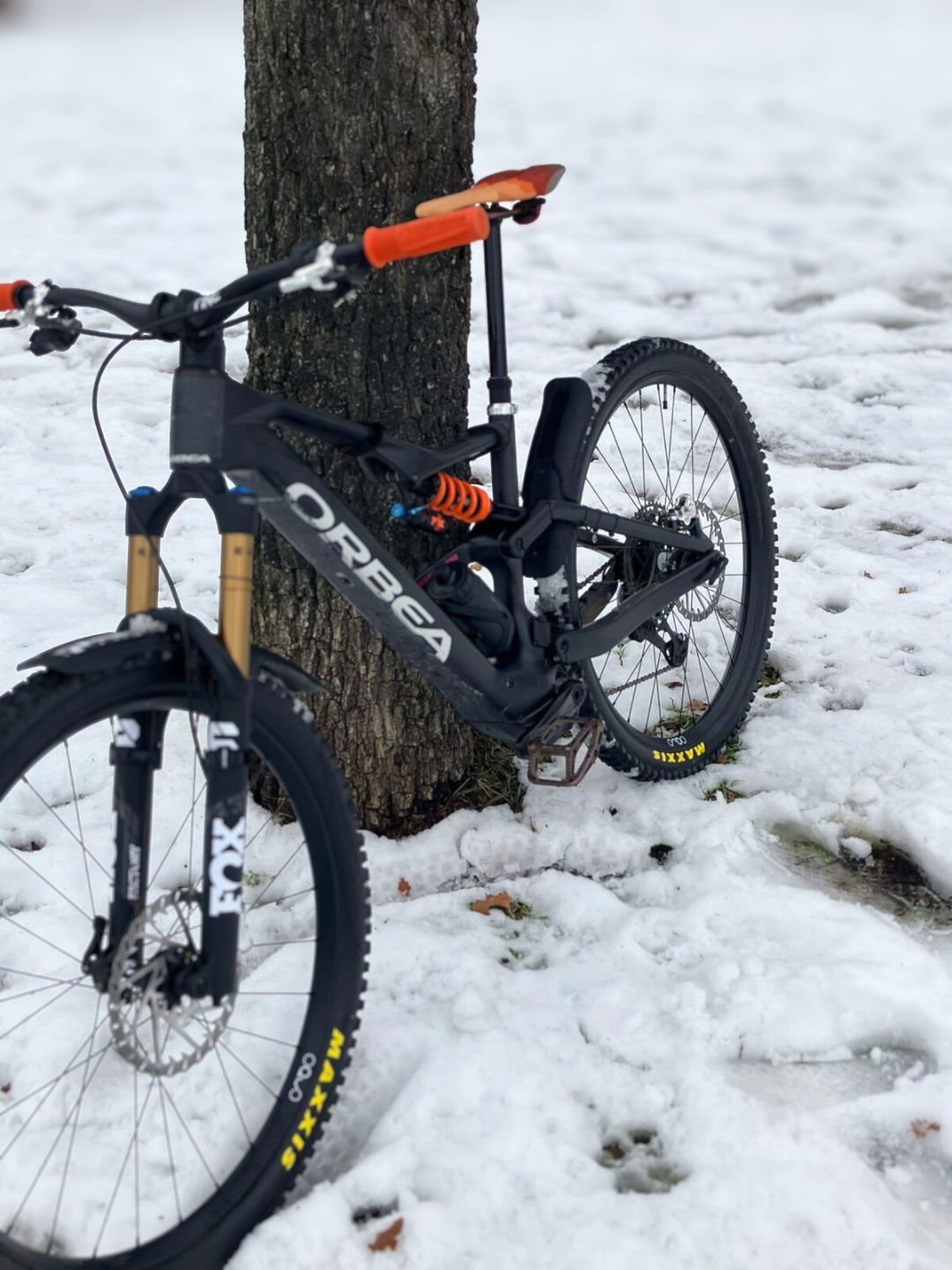 Custom Orbea Rise LT bei bike-store mit edlen Komponenten