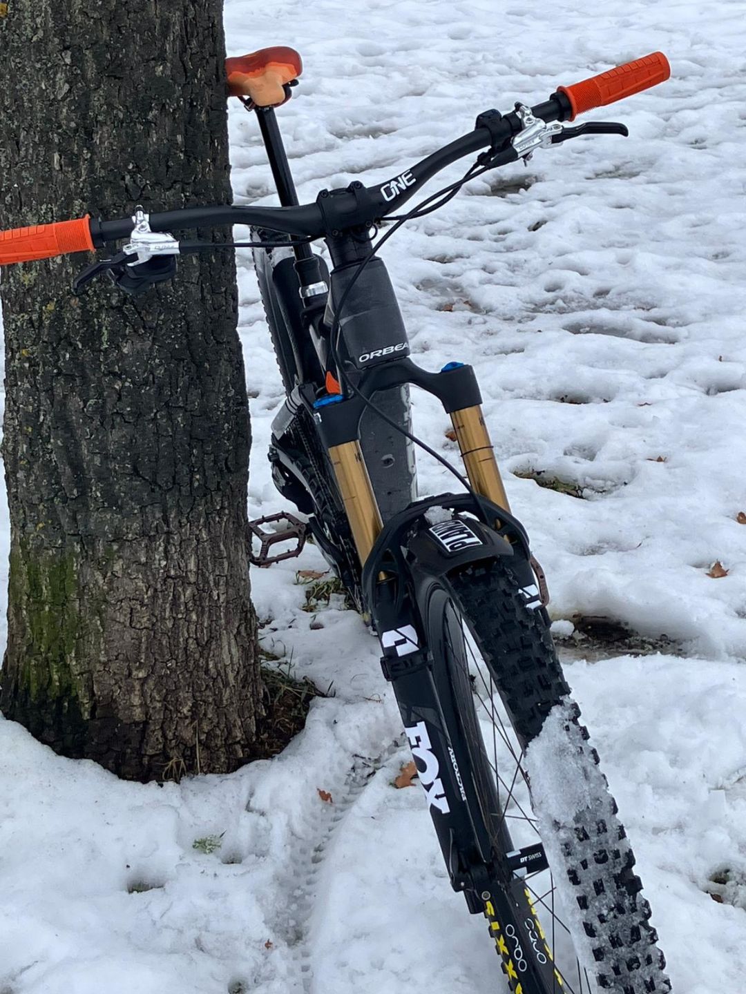 Detailansicht Orbea Rise LT Custom Aufbau