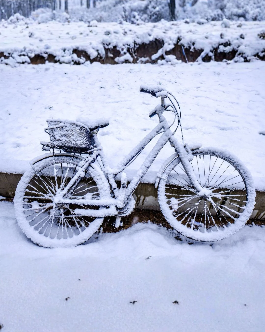 Frühjahrs-Check für dein Bike bei bike-store – sichere Wartung und Tipps für die Saison