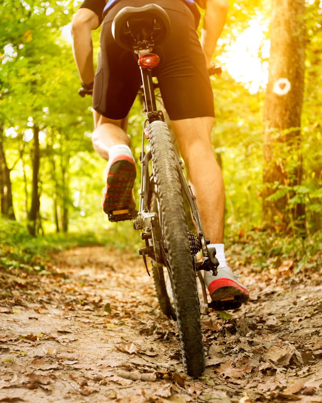 Der perfekte Start in den Tag – mit dem Bike